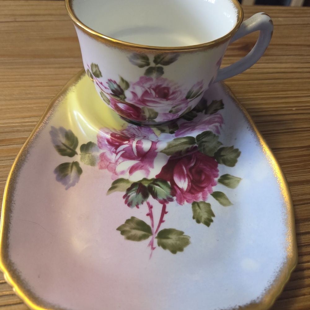 Vintage Nantucket Pink Rose Floral Teacup and Bisquit Snack Plate with Gold Trim
